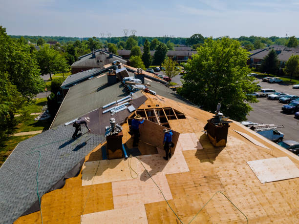 24/7 Emergency Flat Roof Repair experts in La Grange Park, IL